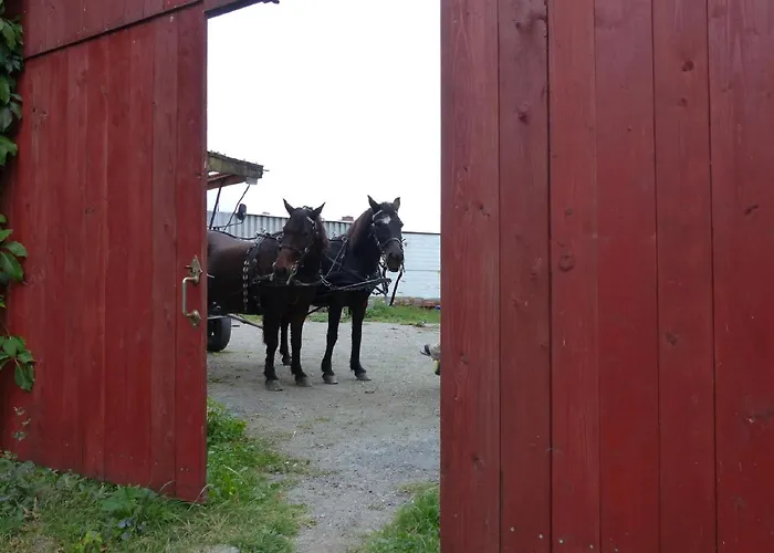 Appartement Näcke Mit Flechtwerkstatt